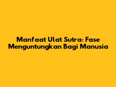 Manfaat Ulat Sutra: Fase Menguntungkan Bagi Manusia
