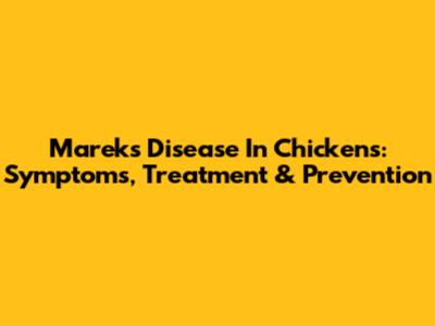 Marek's Disease In Chickens: Symptoms, Treatment & Prevention