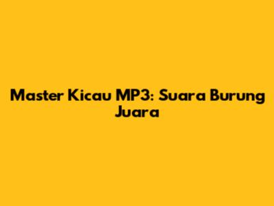 Master Kicau MP3: Suara Burung Juara