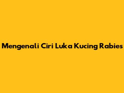 Mengenali Ciri Luka Kucing Rabies