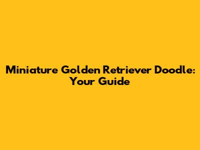 Miniature Golden Retriever Doodle: Your Guide