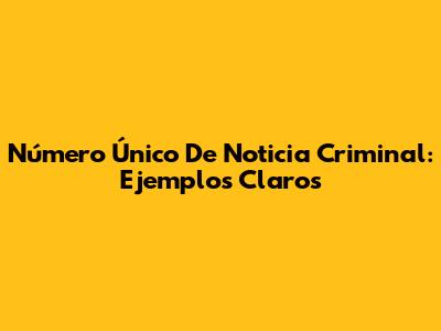 Número Único De Noticia Criminal: Ejemplos Claros
