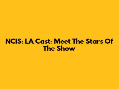NCIS: LA Cast: Meet The Stars Of The Show