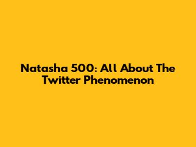 Natasha 500: All About The Twitter Phenomenon