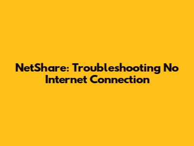 NetShare: Troubleshooting No Internet Connection