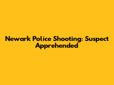 Newark Police Shooting: Suspect Apprehended
