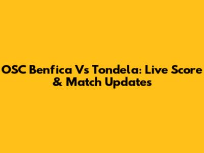 OSC Benfica Vs Tondela: Live Score & Match Updates