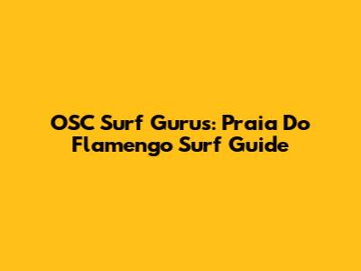 OSC Surf Gurus: Praia Do Flamengo Surf Guide