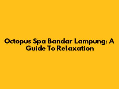 Octopus Spa Bandar Lampung: A Guide To Relaxation