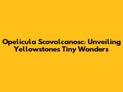 Opelicula Scovolcanosc: Unveiling Yellowstone's Tiny Wonders