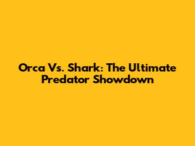 Orca Vs. Shark: The Ultimate Predator Showdown
