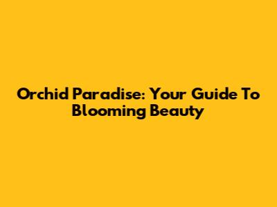 Orchid Paradise: Your Guide To Blooming Beauty