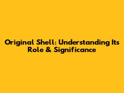 Original Shell: Understanding Its Role & Significance