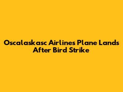 Oscalaskasc Airlines Plane Lands After Bird Strike