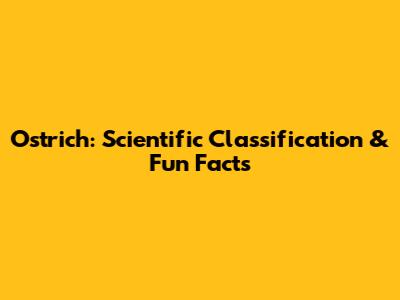 Ostrich: Scientific Classification & Fun Facts