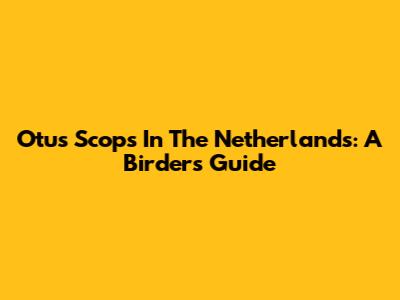 Otus Scops In The Netherlands: A Birder's Guide