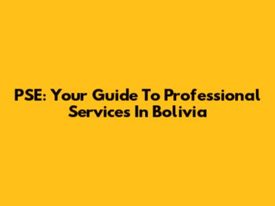 PSE: Your Guide To Professional Services In Bolivia