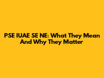 PSE IUAE SE NE: What They Mean And Why They Matter