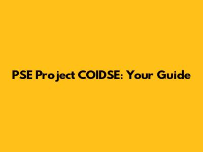 PSE Project COIDSE: Your Guide