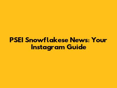 PSEI Snowflakese News: Your Instagram Guide