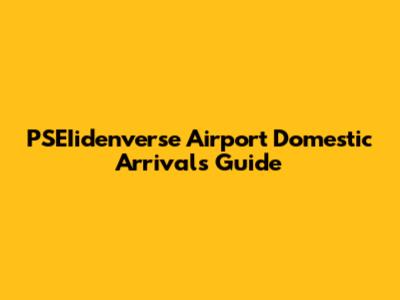 PSEIidenverse Airport Domestic Arrivals Guide