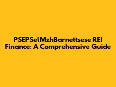 PSEPSelMzhBarnettsese REI Finance: A Comprehensive Guide