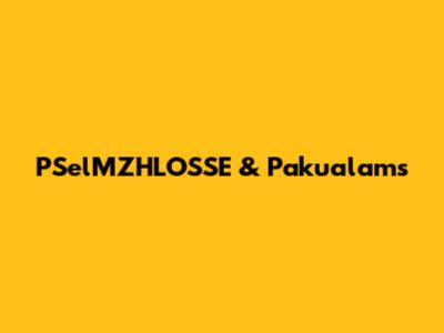 PSelMZHLOSSE & Pakualam's 