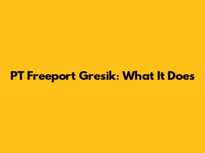 PT Freeport Gresik: What It Does