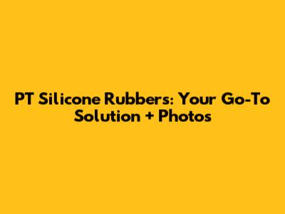 PT Silicone Rubbers: Your Go-To Solution + Photos