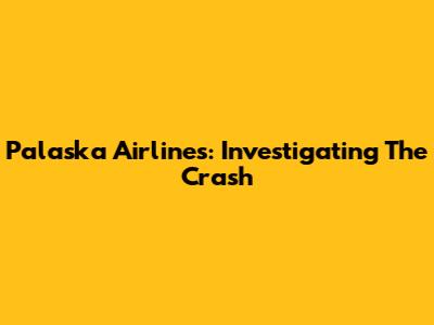 Palaska Airlines: Investigating The Crash