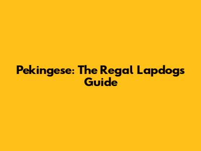 Pekingese: The Regal Lapdog's Guide