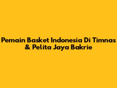 Pemain Basket Indonesia Di Timnas & Pelita Jaya Bakrie
