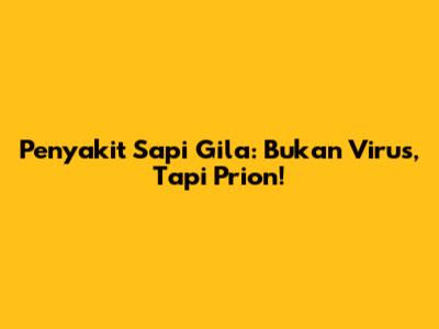 Penyakit Sapi Gila: Bukan Virus, Tapi Prion!