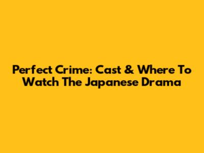 Perfect Crime: Cast & Where To Watch The Japanese Drama