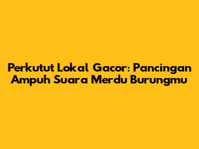 Perkutut Lokal Gacor: Pancingan Ampuh Suara Merdu Burungmu