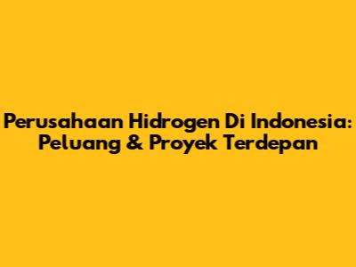 Perusahaan Hidrogen Di Indonesia: Peluang & Proyek Terdepan