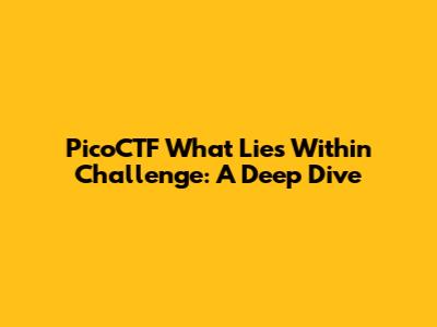 PicoCTF 'What Lies Within' Challenge: A Deep Dive