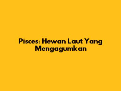 Pisces: Hewan Laut Yang Mengagumkan
