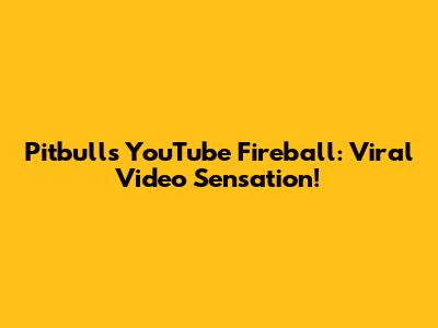 Pitbull's YouTube Fireball: Viral Video Sensation!