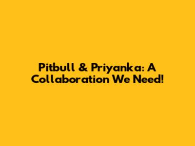 Pitbull & Priyanka: A Collaboration We Need!
