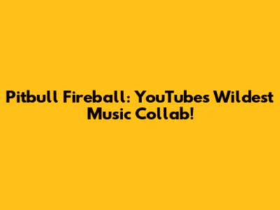 Pitbull Fireball: YouTube's Wildest Music Collab!
