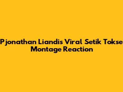 Pjonathan Liandi's Viral Setik Tokse Montage Reaction