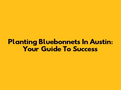 Planting Bluebonnets In Austin: Your Guide To Success