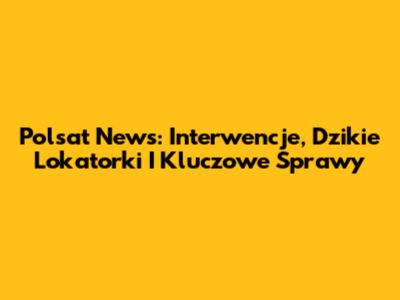 Polsat News: Interwencje, Dzikie Lokatorki I Kluczowe Sprawy