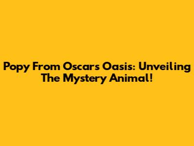 Popy From Oscar's Oasis: Unveiling The Mystery Animal!