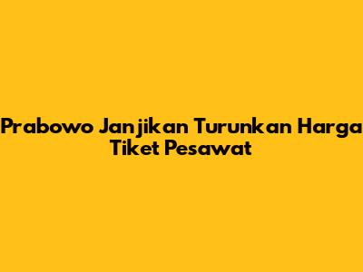 Prabowo Janjikan Turunkan Harga Tiket Pesawat