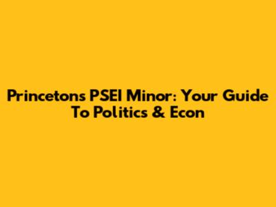 Princeton's PSEI Minor: Your Guide To Politics & Econ