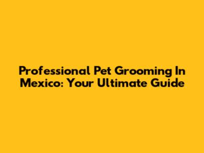 Professional Pet Grooming In Mexico: Your Ultimate Guide