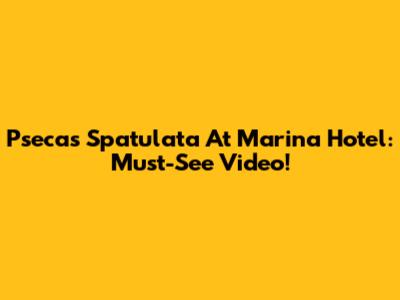 Psecas Spatulata At Marina Hotel: Must-See Video!
