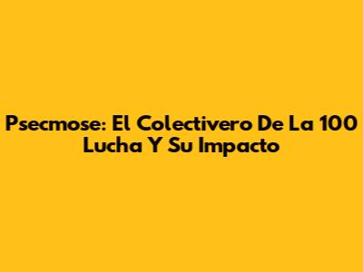 Psecmose: El Colectivero De La 100 Lucha Y Su Impacto